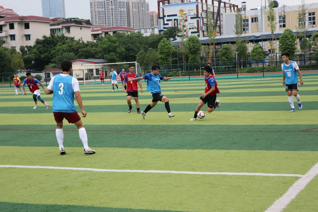 更加展示出, tted 更加展示出, tted