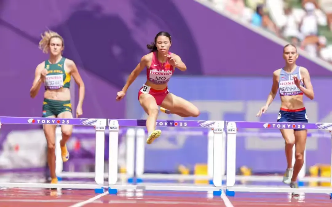 的成绩夺得, msn 的成绩夺得, msn